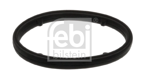 Gasket, oil cooler